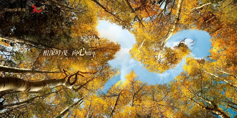 J9(中国)建设成功获批132亿公司债券