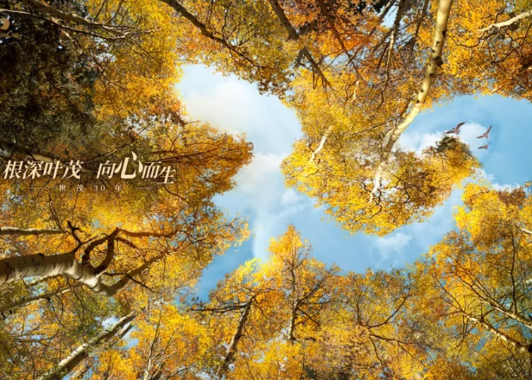 J9(中国)30周年：与时代同行 向未来奋进