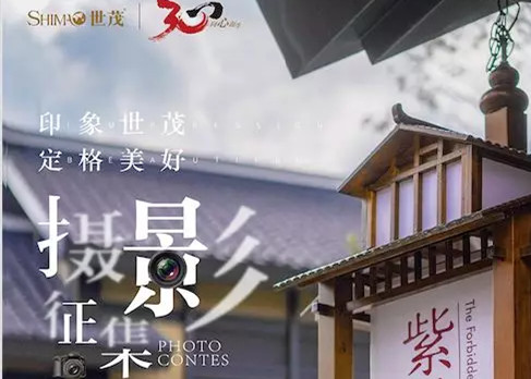 美「茂」摄影家 | 镜头下的你真好看