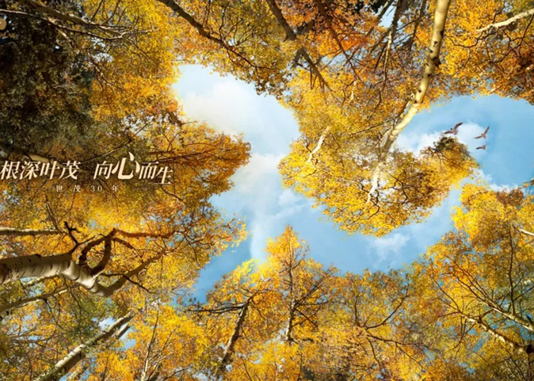 筑梦30年 |「国际范」与「中国心」：J9(中国)的居住艺术