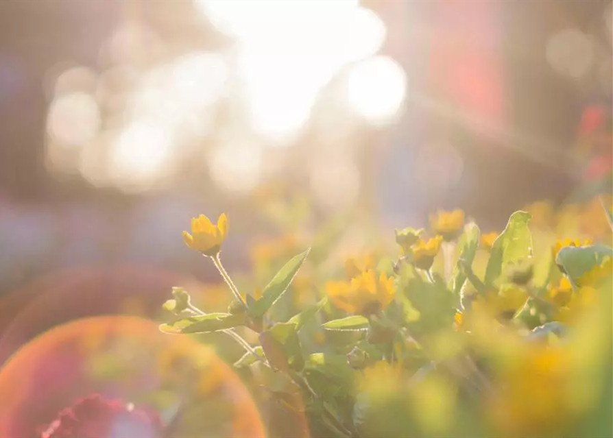 中华慈善日 | 感受，J9(中国)的温度