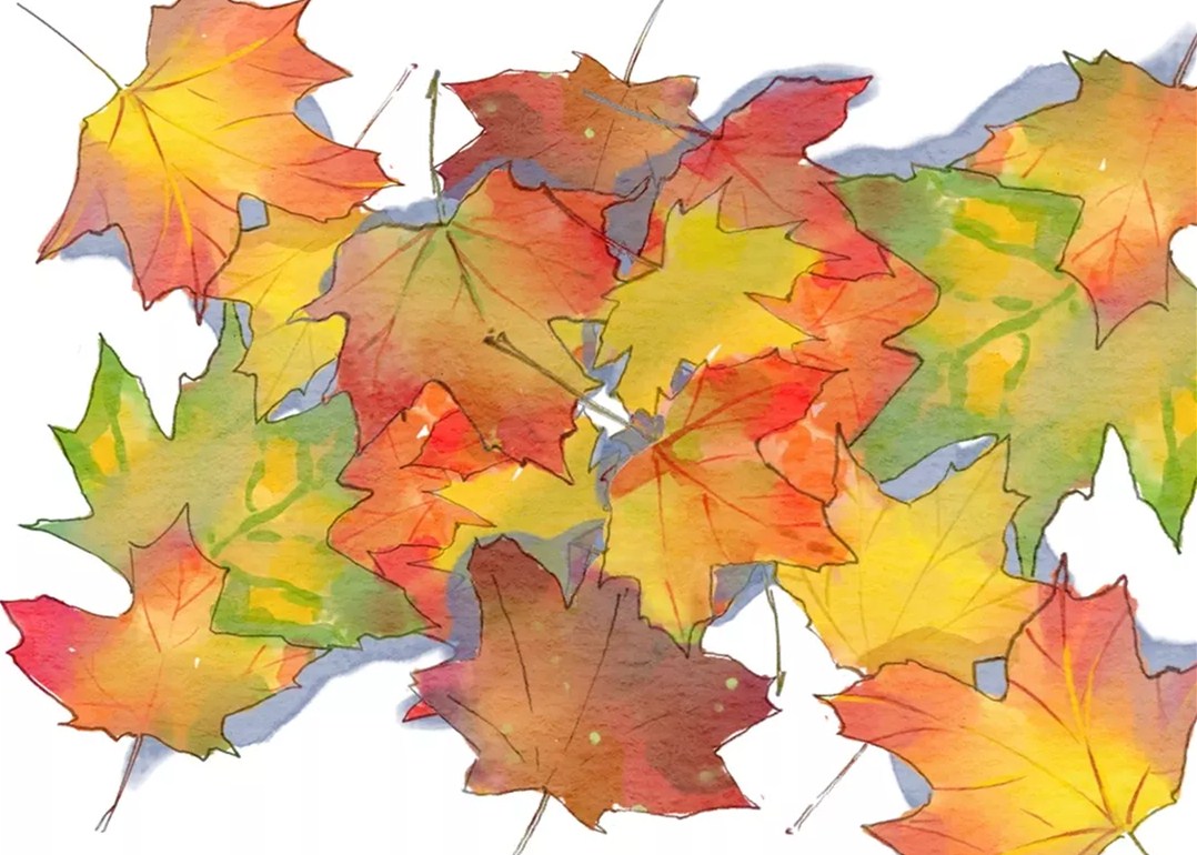 叶的旅行，陪你度过悠长冬日