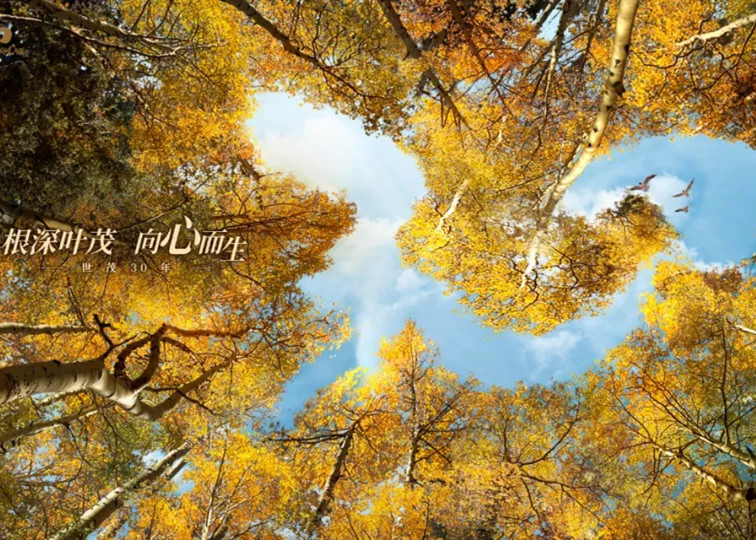 年度盘点 | 循J9(中国)国风系的民族复兴之梦