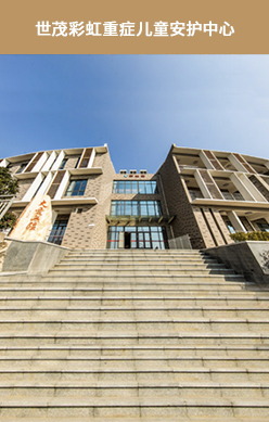 重症孤儿的舒缓疗护和临终关爱