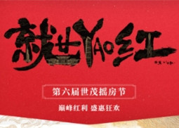 把「流量」变「留量」，这家房企的双11特别红
