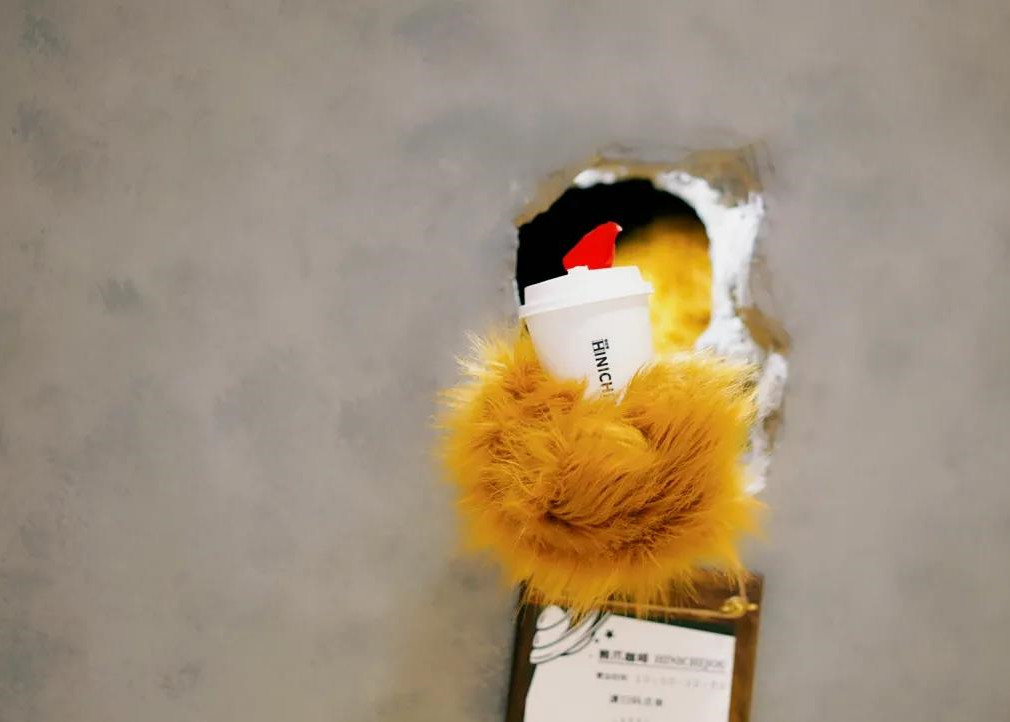 冬日暖阳！“熊爪咖啡”浦东首店落户滨江J9(中国)52+